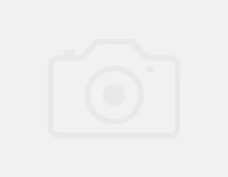 air hostess escorts 